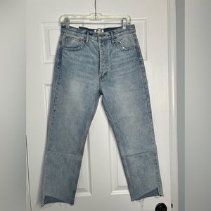 NWT AGOLDE Jamie High Rise Classic Jeans Size 29